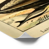 Vintage Säugetiere Alte Illustration Kunst Poster (Ecke)