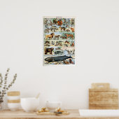 Vintage Säugetiere der Welt Poster (Küche)