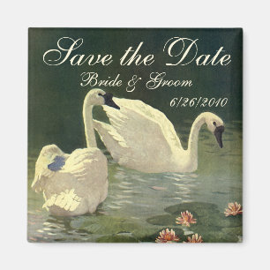 Vintage Save-the-Date! Wunderschöne Schwäne schwim Magnet