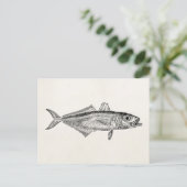 Vintage Scanner-Fische Aquatic Fish Blank Template Postkarte (Stehend Vorderseite)