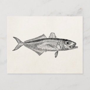 Vintage Scanner-Fische Postkarte