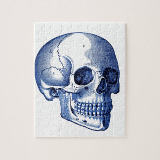 Vintage Schädel-Anatomie Puzzle