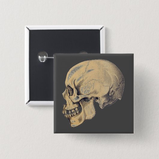 Vintage Schädelanatomie Button (Vorne & Hinten)