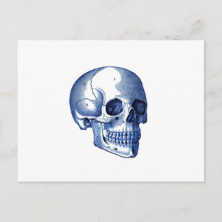 Vintage Schädelanatomie Postkarte