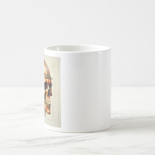 Vintage Schädelanatomie Tasse (Mittel)