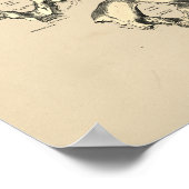 Vintage Schädelknochen 1880 drucken Poster (Ecke)