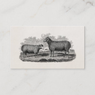 Vintage-Schaf-Illustration aus dem 19. Jahrhundert Visitenkarte