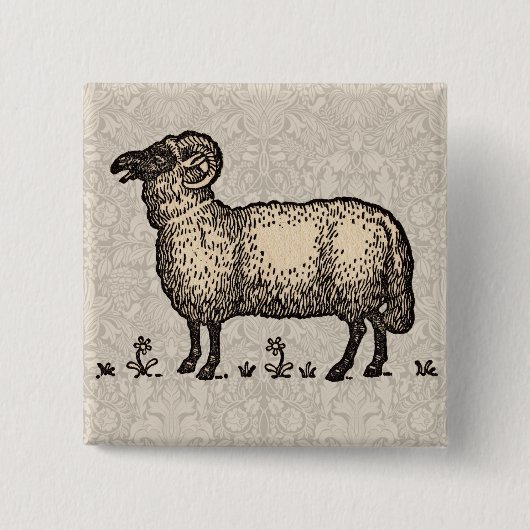 Vintage-Schaf-Illustration: Klassische Farmkunst Button (Vorderseite)