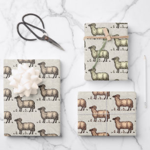 Vintage-Schaf-Illustration: Klassische Farmkunst Geschenkpapier Set