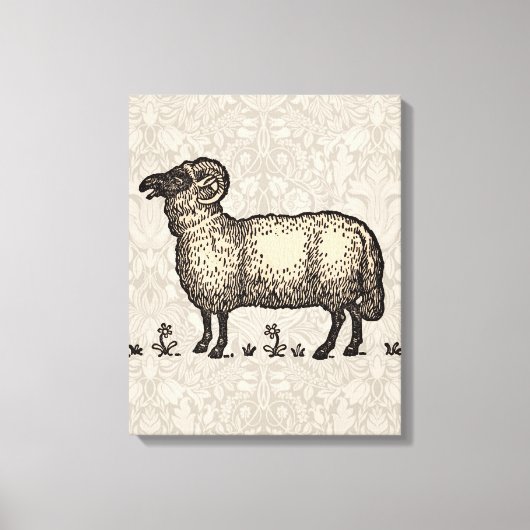 Vintage-Schaf-Illustration: Klassische Farmkunst Leinwanddruck (Vorderseite)