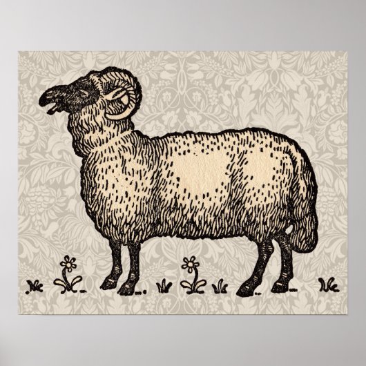 Vintage-Schaf-Illustration: Klassische Farmkunst Poster (Vorne)