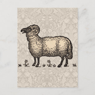 Vintage-Schaf-Illustration: Klassische Farmkunst Postkarte