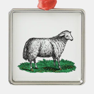 Vintage-Schaf-Mutterschaf-Farmtiere-Zeichnung C Ornament Aus Metall