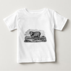 Vintage Schafbock-Lamm-Schablone Merino 1800s Baby T-shirt