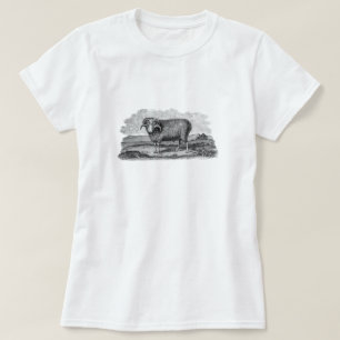 Vintage Schafbock-Lamm-Schablone Merino-Schaf aus T-Shirt