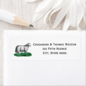 Vintage Schafschaf Zeichnend Tiere C (Insitu)