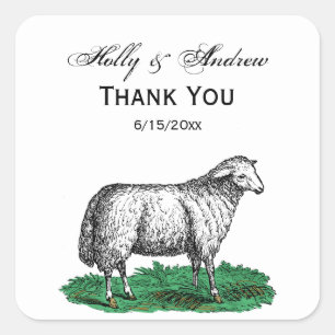 Vintage Schafschaf Zeichnend Tiere C Quadratischer Aufkleber