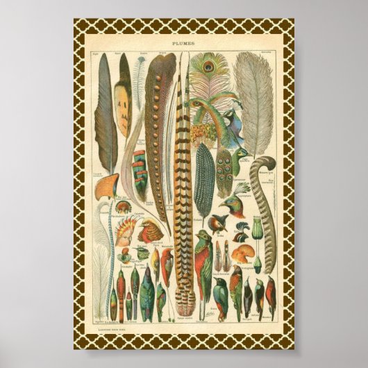 Vintage Schalen Poster (Vorne)