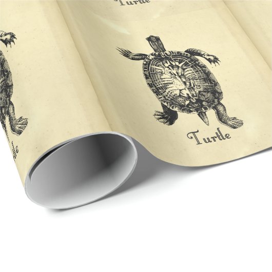 VINTAGE SCHALTFLÄCHE GESCHENKPAPIER (Rolleneckpunkt)