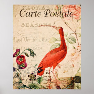 Vintage-Scharlach-Ibis-Vogel Französischer florale Poster
