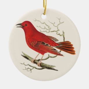 Vintage-Scharlach-Tanager-Naturforscher-Vogel-Deko Keramik Ornament