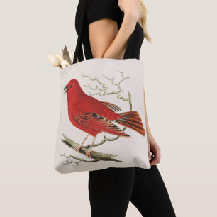 Vintage-Scharlach-Tangare-Naturalist-Vogel-Dekor-K Tasche