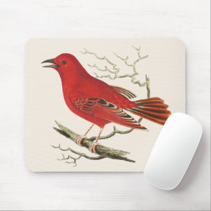 Vintage-Scharlach-Tangare-Naturforscher-Vogel-Deko Mousepad