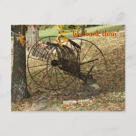 Vintage Scheuhaken-Postkarte - anpassen Postkarte (Vorderseite)