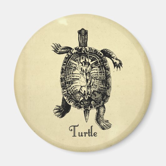 VINTAGE SCHILDKRÖTE MAGNET (Vorne)