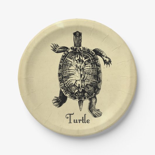 VINTAGE SCHILDKRÖTE PAPPTELLER (Vorderseite)