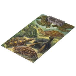 Vintage Schildkröten und Meeresschildkröten von Er Klemmbrett