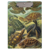 Vintage Schildkröten und Meeresschildkröten von Er Klemmbrett (Vorderseite)