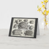 Vintage Schildkrötenätzung Karte (Gelbe Blume)