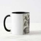 Vintage Schildkrötenätzung Tasse (Links)