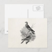 Vintage Schildkrötentauben Vogelvögel Personalisie Postkarte (Vorne/Hinten)