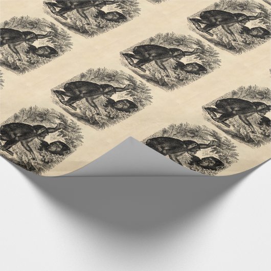 Vintage Schimpansen 1800s Geschenkpapier (Ecke)