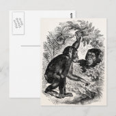 Vintage Schimpansen-Vorlage für Affenschimpansen i Postkarte (Vorne/Hinten)