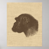 Vintage Schimpansenillustration auf Burlap Poster (Vorne)