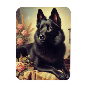 Vintage-Schipperke-Hundebild Magnet
