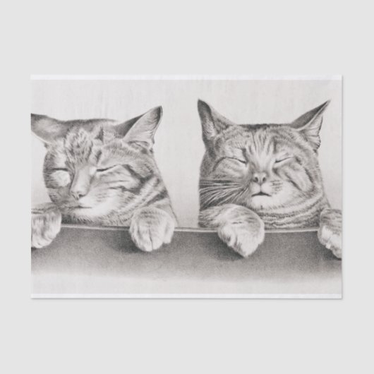 Vintage Schlafkatzen Lithograph, 1874 Decoupage Seidenpapier (Vorderseite)