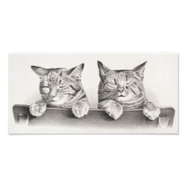 Vintage Schlafkatzen Lithograph, 1874 Fotodruck