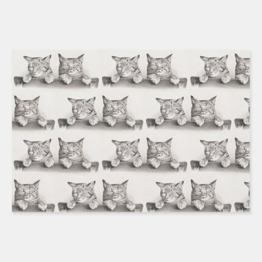 Vintage Schlafkatzen Lithograph, 1874 Geschenkpapier Set (Vorderseite)
