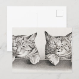 Vintage Schlafkatzen Lithograph, 1874 Postkarte