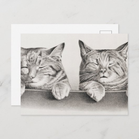 Vintage Schlafkatzen Lithograph, 1874 Postkarte (Vorne/Hinten)