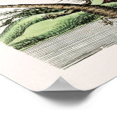 Vintage Schlangen-Illustration Poster (Ecke)