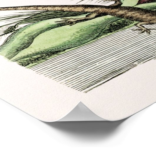 Vintage Schlangen-Illustration Poster (Ecke)