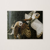 Vintage Schleiereulen Illustratation (Audubon) Puzzle (Horizontal)