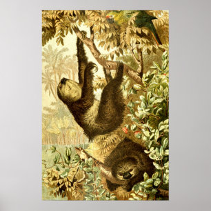 Vintage Schluchten und Papagei im Dschungel Poster