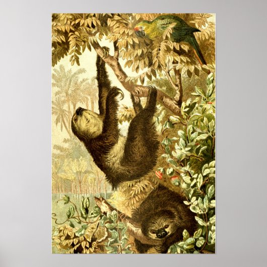 Vintage Schluchten und Papagei im Dschungel Poster (Vorne)