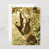 Vintage Schluchten und Papagei im Dschungel Postkarte (Vorne/Hinten)